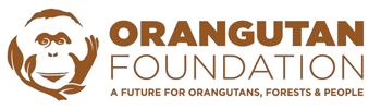 orangutanfoundation-removebg-preview