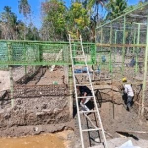 Dismantling of all Rescue Center Facilities in Batangtoru