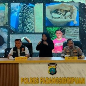 Terbongkar Lagi! Transaksi Gelap Trenggiling & Harimau Dahan di P.Sidimpuan Disikat Polisi