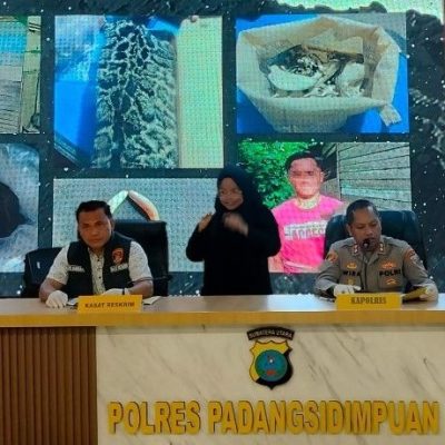 Terbongkar Lagi! Transaksi Gelap Trenggiling & Harimau Dahan di P.Sidimpuan Disikat Polisi